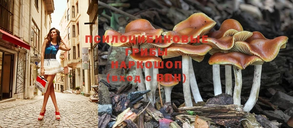 ГАЛЛЮЦИНОГЕННЫЕ ГРИБЫ Аша