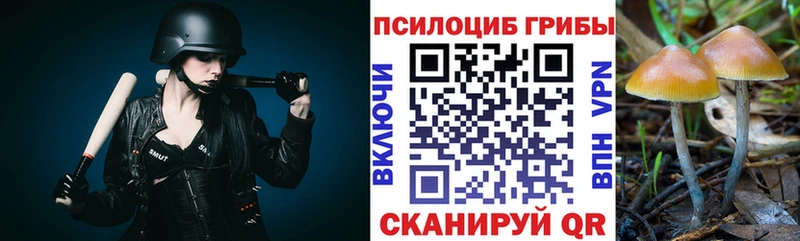 ОМГ ОМГ как зайти  Куровское  Галлюциногенные грибы GOLDEN TEACHER  купить  сайты 