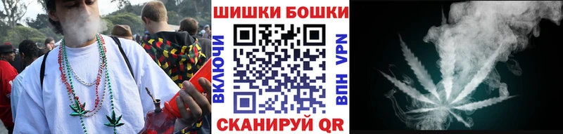 что такое   Куровское  Марихуана конопля 